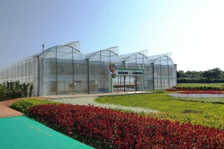 taoyuan-agriculture-expo-cover